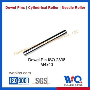 Stainless Hlau Pins