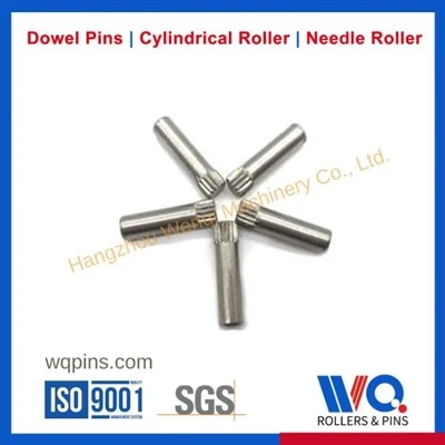 Qhov Rooj Pivot Dowel Pins